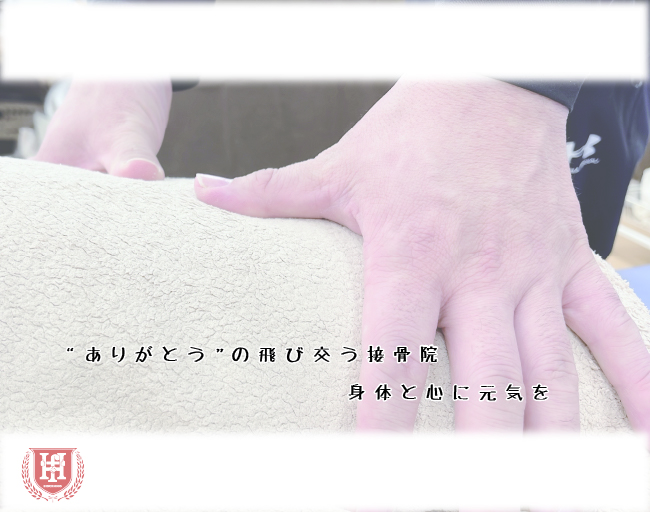 大口・扶桑・犬山・小牧 ひだか接骨院大口院